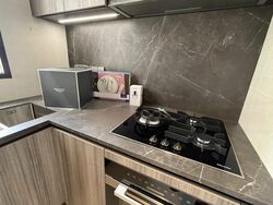 Klimt Cairnhill (D9), Apartment #459489021